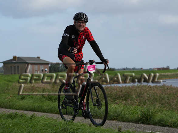 D7368.jpg